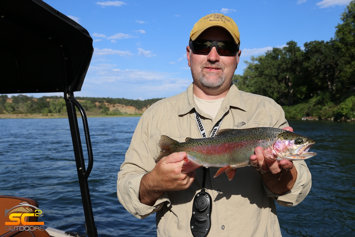 Rainbow Trout Fishing